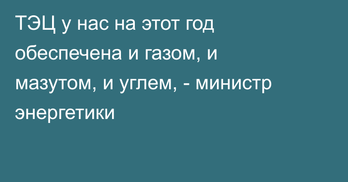 ТЭЦ у нас на этот год обеспечена и газом, и мазутом, и углем, - министр энергетики