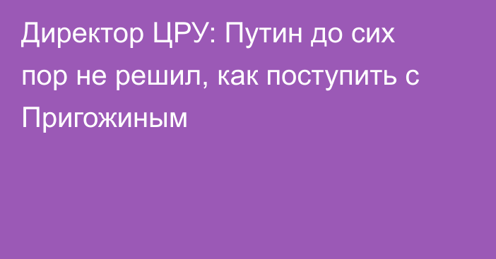 Директор ЦРУ: Путин до сих пор не решил, как поступить с Пригожиным