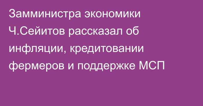 Замминистра экономики Ч.Сейитов рассказал об инфляции, кредитовании фермеров и поддержке МСП