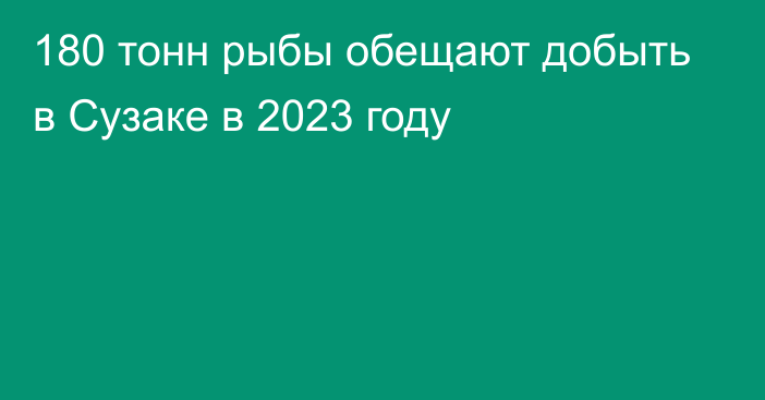 180 тонн рыбы обещают добыть в Сузаке в 2023 году