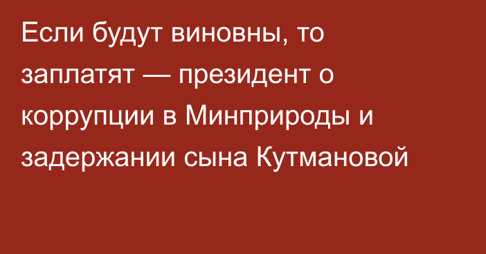 Если будут виновны, то заплатят — президент о коррупции в Минприроды и задержании сына Кутмановой