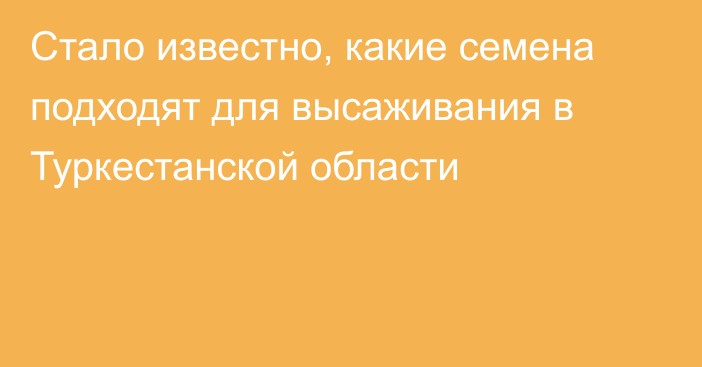 Стало известно, какие семена подходят для высаживания в Туркестанской области