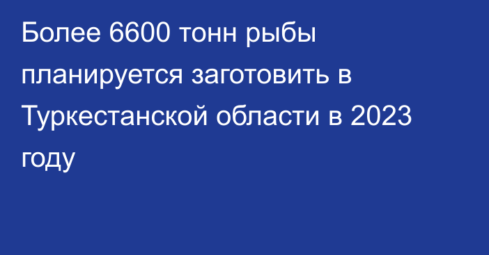 Более 6600 тонн рыбы планируется заготовить в Туркестанской области в 2023 году