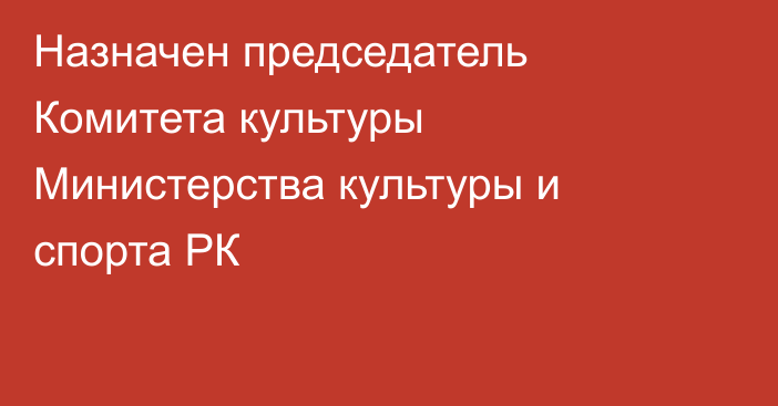 Назначен председатель Комитета культуры Министерства культуры и спорта РК