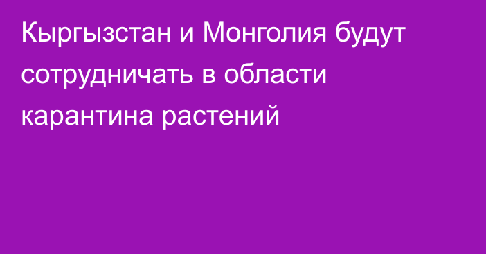 Кыргызстан и Монголия будут сотрудничать в области карантина растений