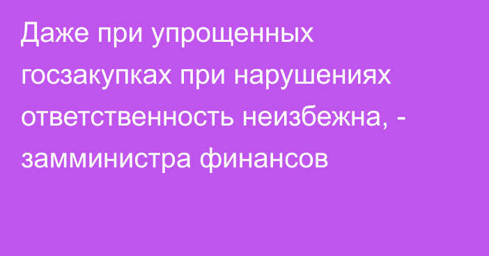 Даже при упрощенных госзакупках при нарушениях ответственность неизбежна, - замминистра финансов