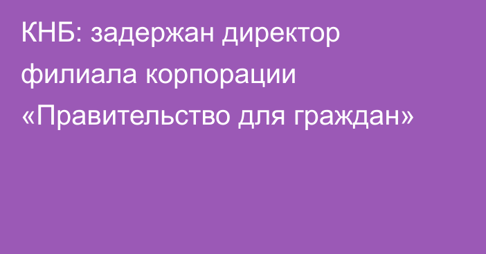 КНБ: задержан директор филиала корпорации «Правительство для граждан»