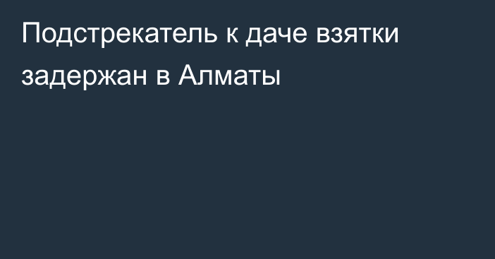 Подстрекатель к даче взятки задержан в Алматы