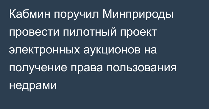 Кабмин поручил Минприроды провести пилотный проект электронных аукционов на получение права пользования недрами