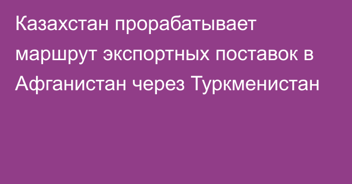 Казахстан прорабатывает маршрут экспортных поставок в Афганистан через Туркменистан