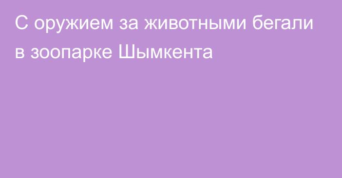 С оружием за животными бегали в зоопарке Шымкента