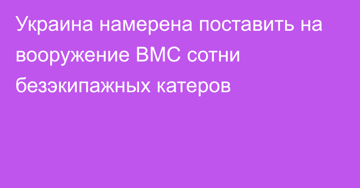 Украина намерена поставить на вооружение ВМС сотни безэкипажных катеров