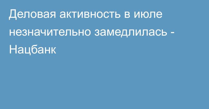 Деловая активность в июле незначительно замедлилась - Нацбанк