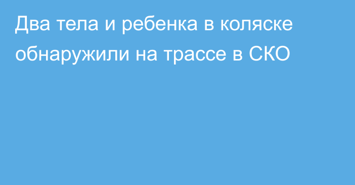 Два тела и ребенка в коляске обнаружили на трассе в СКО