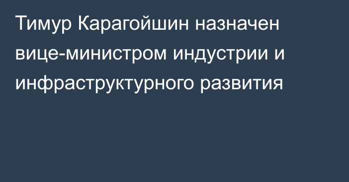 Тимур Карагойшин назначен вице-министром индустрии и инфраструктурного развития