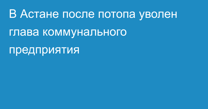 В Астане после потопа уволен глава коммунального предприятия