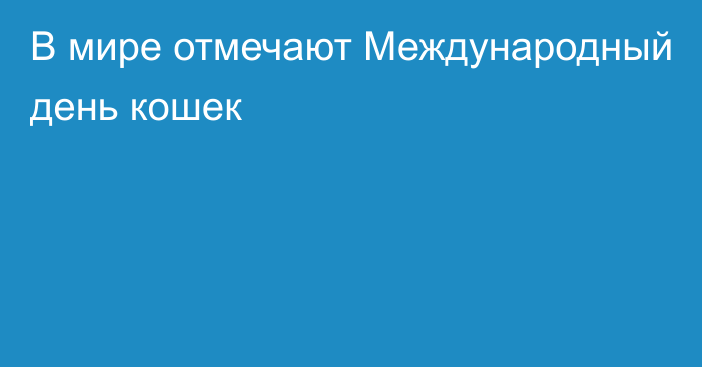 В мире отмечают Международный день кошек