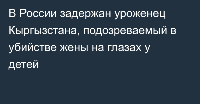 В России задержан уроженец Кыргызстана, подозреваемый в убийстве жены на глазах у детей