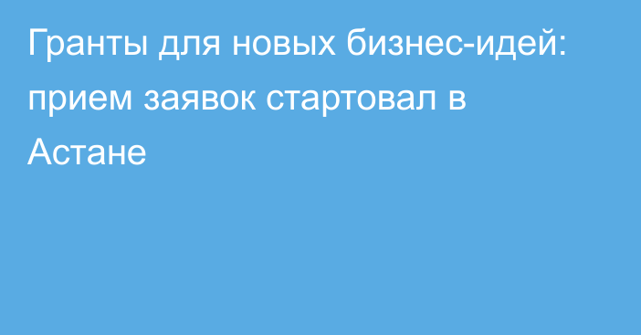 Гранты для новых бизнес-идей: прием заявок стартовал в Астане