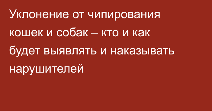 Уклонение от чипирования кошек и собак – кто и как будет выявлять и наказывать нарушителей