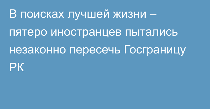 В поисках лучшей жизни – пятеро иностранцев пытались незаконно пересечь Госграницу РК