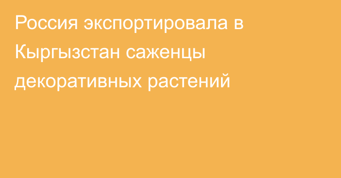 Россия экспортировала в Кыргызстан саженцы декоративных растений