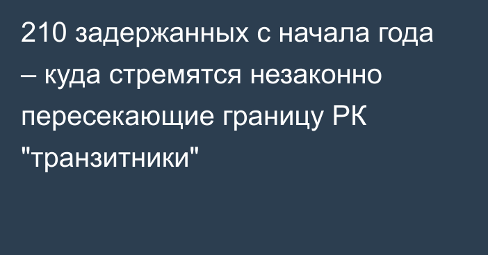 210 задержанных с начала года – куда стремятся незаконно пересекающие границу РК 