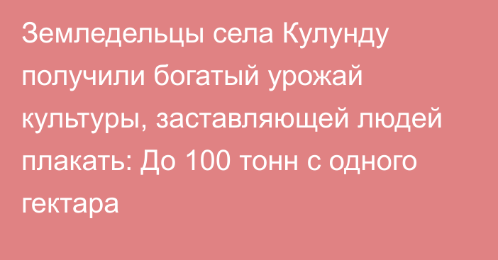 Земледельцы села Кулунду получили богатый урожай культуры, заставляющей людей плакать: До 100 тонн с одного гектара