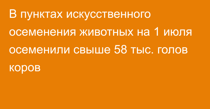 В пунктах искусственного осеменения животных на 1 июля осеменили свыше 58 тыс. голов коров