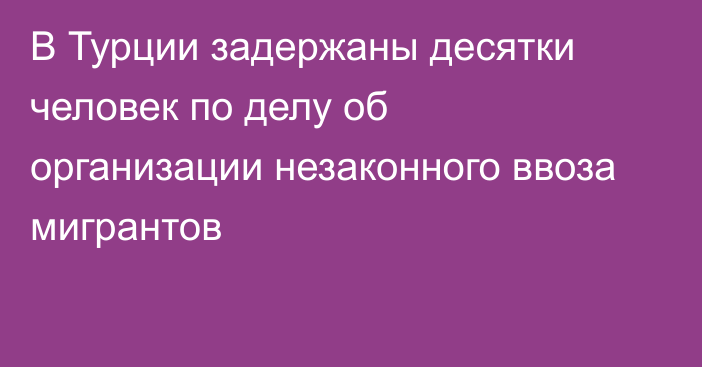 В Турции задержаны десятки человек по делу об организации незаконного ввоза мигрантов