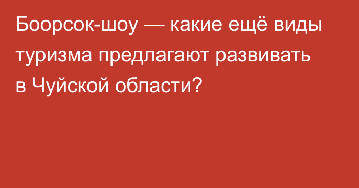 Боорсок-шоу — какие ещё виды туризма предлагают развивать в Чуйской области?