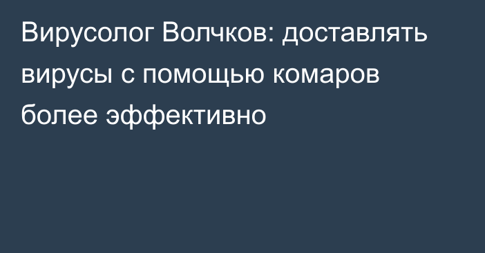 Вирусолог Волчков: доставлять вирусы с помощью комаров более эффективно