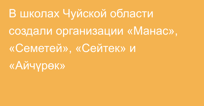 В школах Чуйской области создали организации «Манас», «Семетей», «Сейтек» и «Айчүрөк»