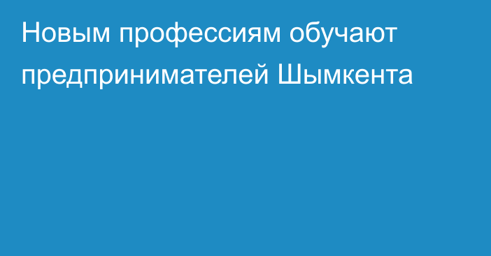 Новым профессиям обучают предпринимателей Шымкента