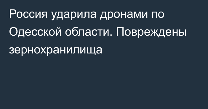 Россия ударила дронами по Одесской области. Повреждены зернохранилища