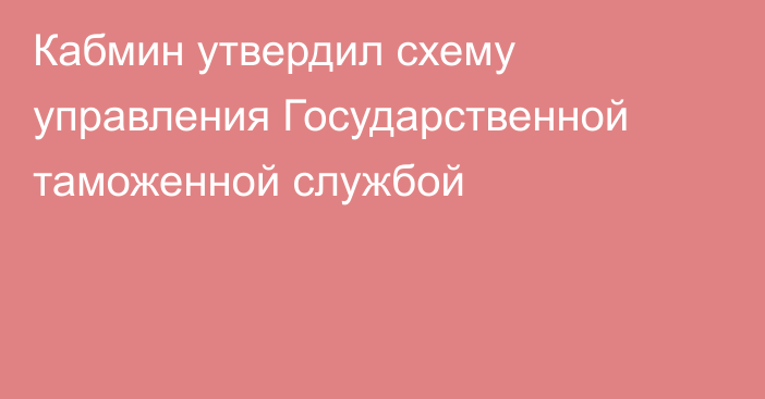 Кабмин утвердил схему управления Государственной таможенной службой