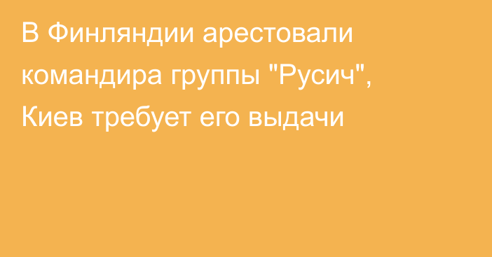 В Финляндии арестовали командира группы 