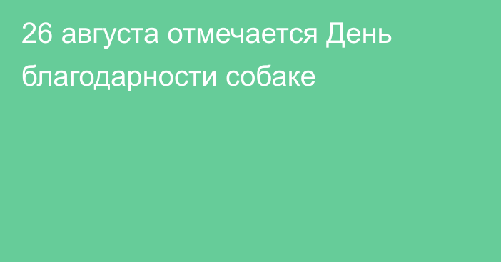 26 августа отмечается День благодарности собаке