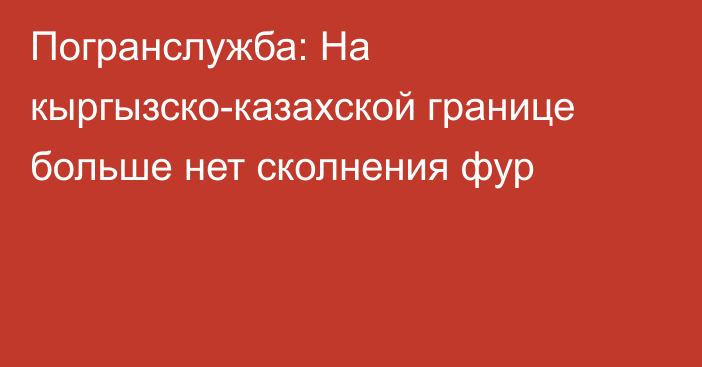 Погранслужба: На кыргызско-казахской границе больше нет сколнения фур