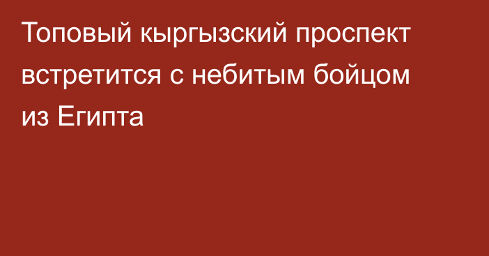 Топовый кыргызский проспект встретится с небитым бойцом из Египта