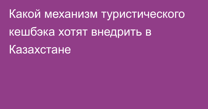 Какой механизм туристического кешбэка хотят внедрить в Казахстане