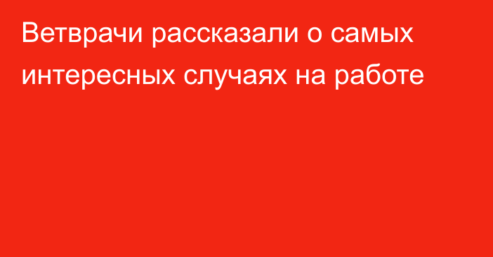 Ветврачи рассказали о самых интересных случаях на работе