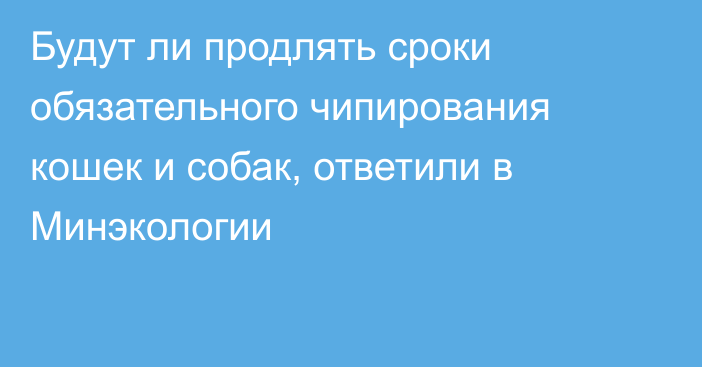 Будут ли продлять сроки обязательного чипирования кошек и собак, ответили в Минэкологии