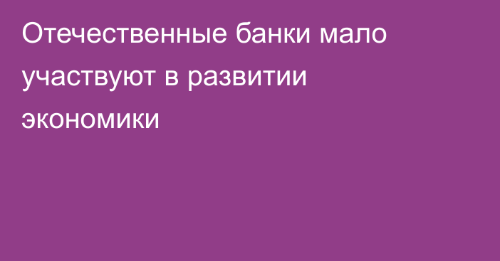 Отечественные банки мало участвуют в развитии экономики