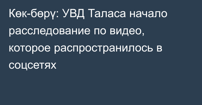 Көк-бөрү: УВД Таласа начало расследование по видео, которое распространилось в соцсетях