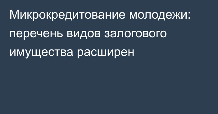 Микрокредитование молодежи: перечень видов залогового имущества расширен