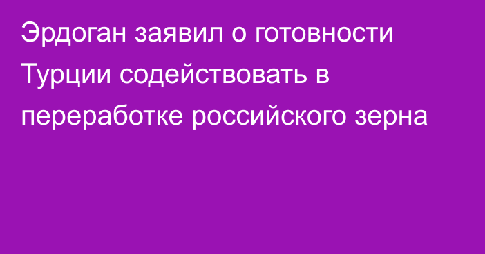 Эрдоган заявил о готовности Турции содействовать в переработке российского зерна