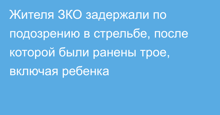 Жителя ЗКО задержали по подозрению в стрельбе, после которой были ранены трое, включая ребенка