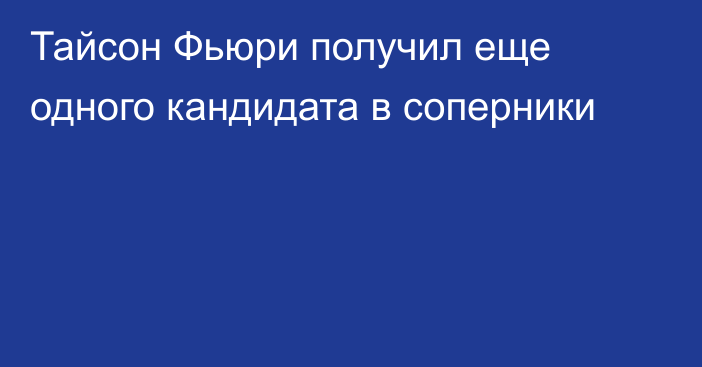 Тайсон Фьюри получил еще одного кандидата в соперники