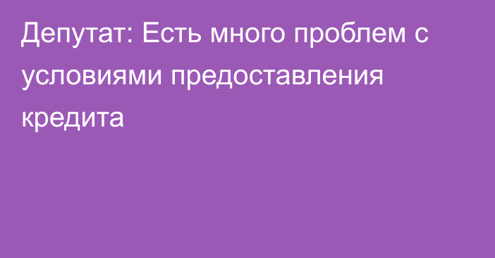 Депутат: Есть много проблем с условиями предоставления кредита